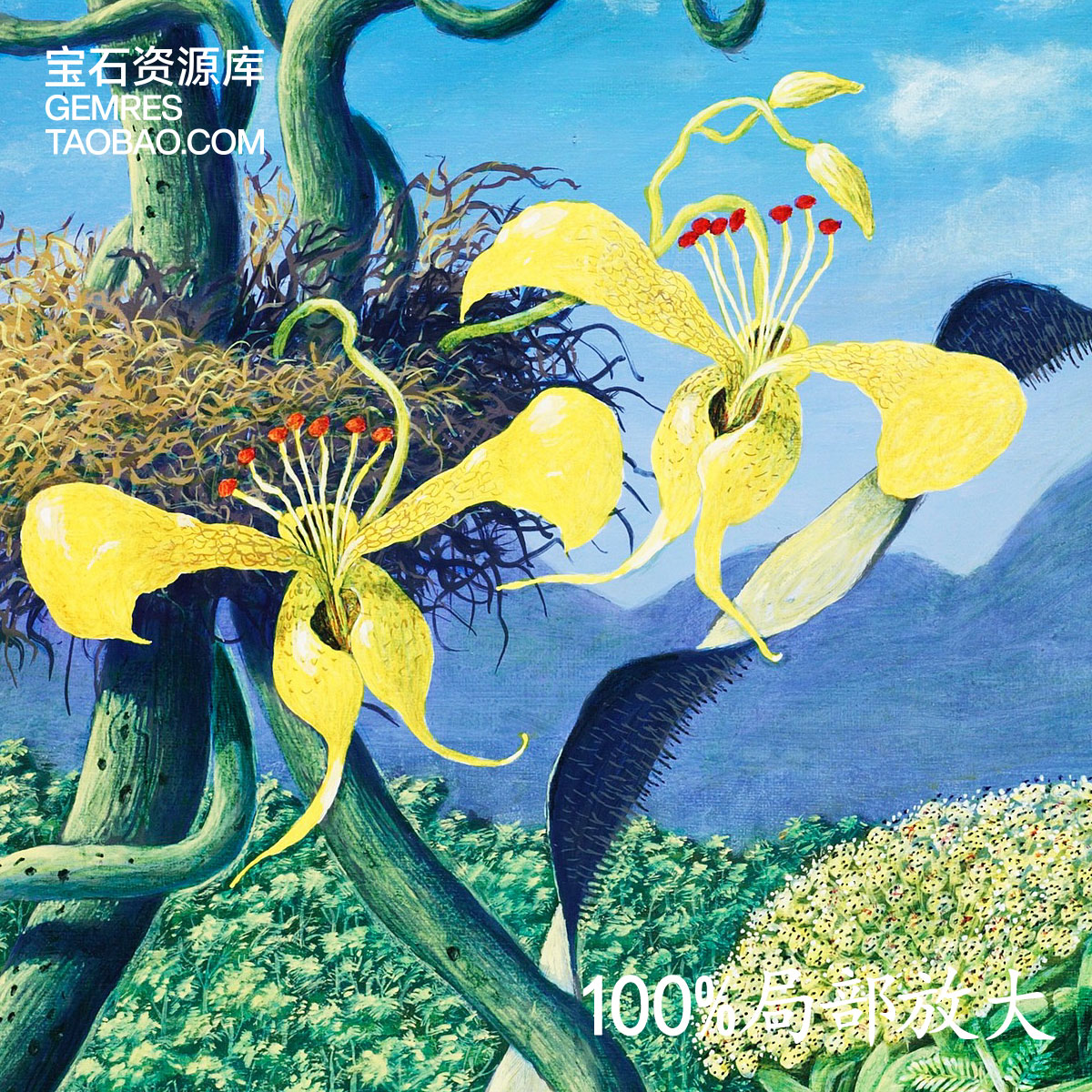 佩尔松Karl Axel Pehrson奇幻花鸟画如何高效提取电子素材？-旅游-淘宝
