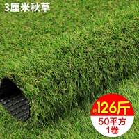 Густая осенняя трава толщиной 3 см составляет около 2,52 килограмма на квадрат, цена за квадратный метр.