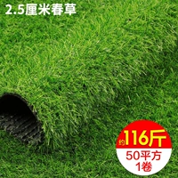 Густая весенняя трава толщиной 2,5 см составляет около 2,32 кг на квадратный метр, цена за квадратный метр.