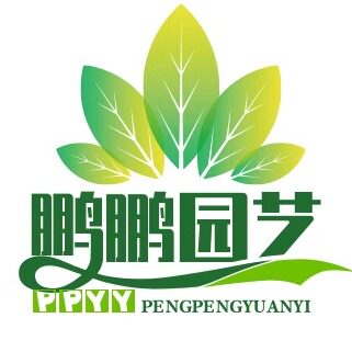 鹏鹏庭院花艺