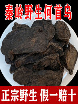 Qinling Wild Nine Steamed Nine Sunning Fleece Fleece Flower Root 500g Chinese herbal medicine Fleece Fleece fleece-flower-root Tea Herbal Medicine
