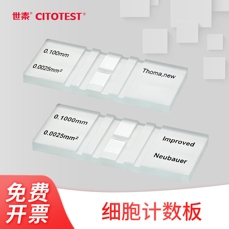 CITOTEST世泰 细胞计数板牛伯耳式陶玛氏计数血小板和红细胞改良neubauer Thoma10块/盒送两个盖片