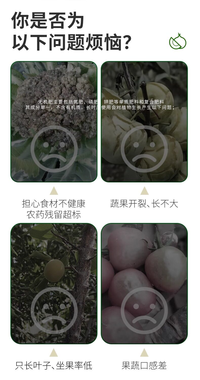 O1CN01r2JkuO2N1AucQxJXT_!!2214758739902.jpg