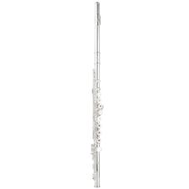 French Blanche flute instrument for beginners to play professionally with 16 and 17 holes silver-plated open and close dual-purpose flute instrument