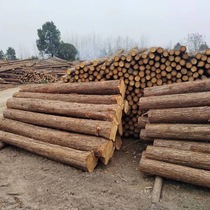 Fir wood piles pine wood piles larch river channel piling wood flood control wood piles fine purlins landscaping support poles