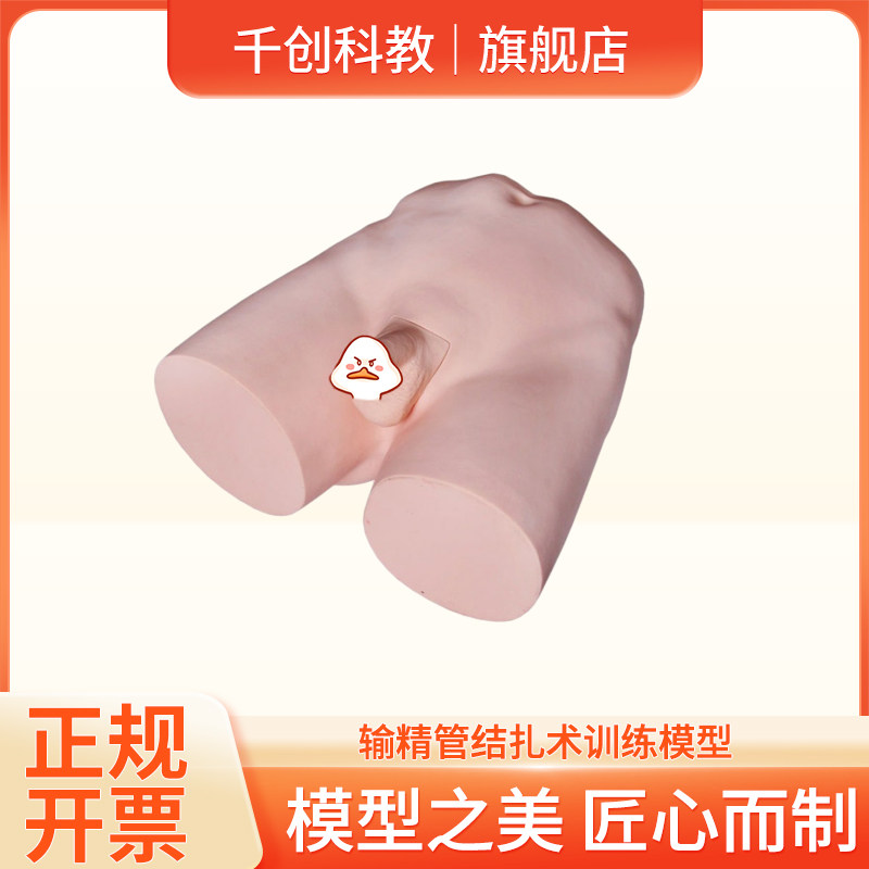 输精管结扎术训练模型男性外阴解剖仿真真实手感固定游离剪断结扎包埋模拟麻醉缝合步骤泌尿外科临床教学考核