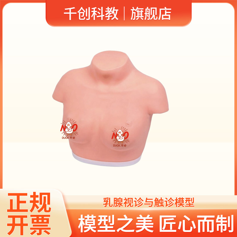乳腺视诊触诊模型塑胶触感真实恶良性肿瘤腋窝淋巴转移乳头凹陷渗血橘皮样皮肤临床教学自查分区病变教具