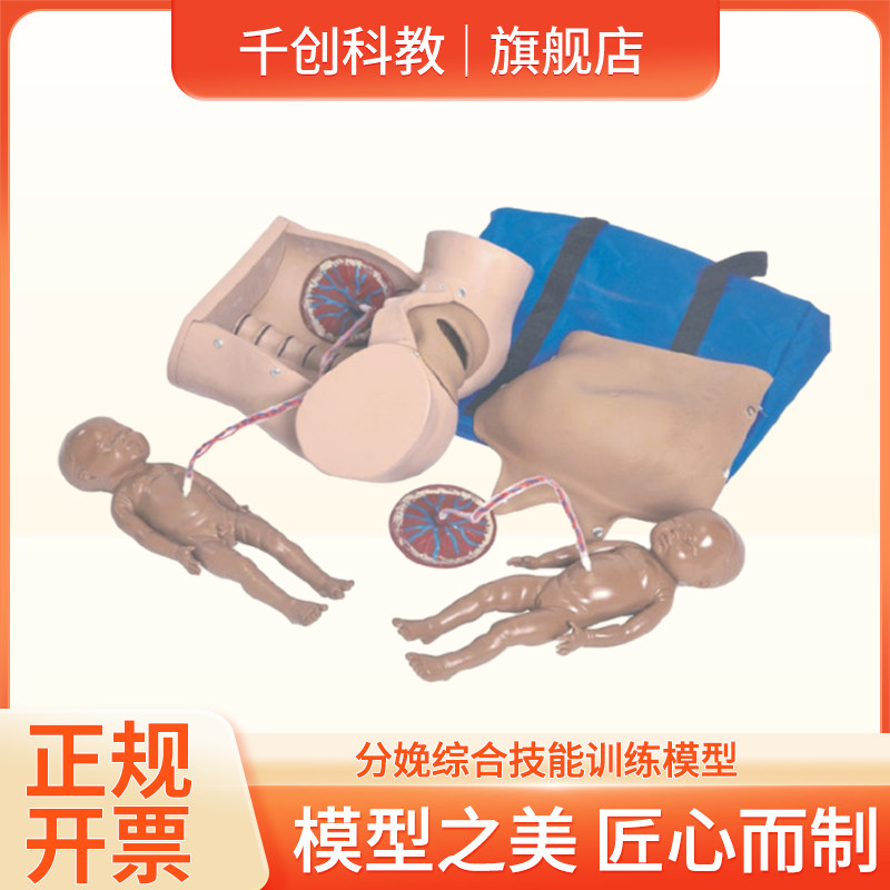 分娩综合技能训练模型孕妇分娩助产示教妇产科分娩机制教学模具