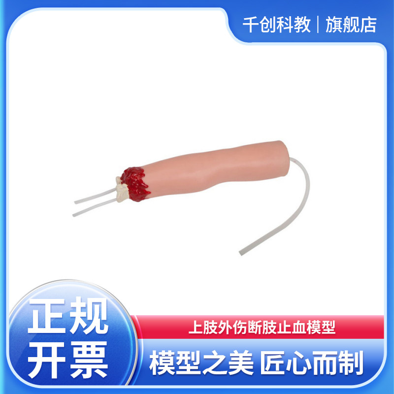 上肢外伤断肢止血模型肱动脉压迫止血训练按压走行区产生止血效果专业急救教学教具医用仿真练习器材
