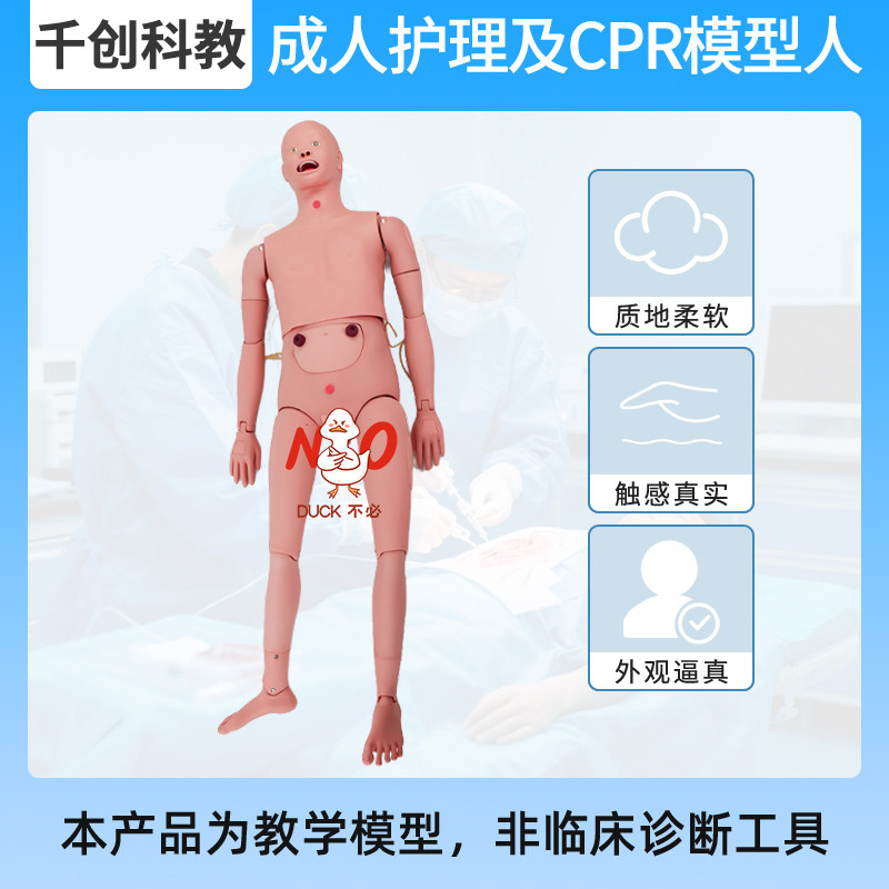 成人护理CPR训练模型模块化解剖心肺复苏鼻饲洗胃导尿灌肠肌注静脉注射男女导尿褥疮护理医学教具