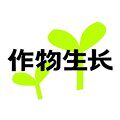 作物生长