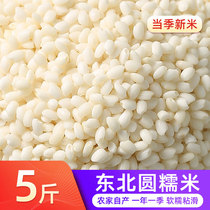 2023 Jiangmi Round Glutinous Rice New Rice Zongzi Ciba Rice Wine Farmer’s Homemade Northeast Wuchang White Glutinous Rice 5kg