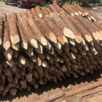 Pine wood pile piling wood outdoor river slope protection log solid wood pile greening fir telescopic pole larch wood