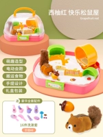 Дом развития белки [издание красного батареи ❤ Подарок 16 штук+батарея]