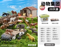 [Ведра для семейства животных по 20 штук] Бесплатное ведро для хранения + руководство по раннему обучению животных 1 при размещении заказа