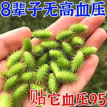 A special special plate for heavy pressure artery plaster pressurized analog pressurized anaphylaxis and short headache paste