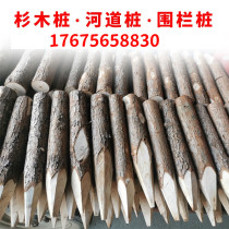 Fir wood piles with bark pine wood piles river engineering piling wooden guardrail piles vegetable garden fence piles greening tree support poles