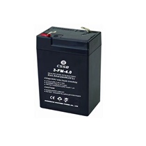 Alternative CSSB Children's Electric Vehicle Kang Vase Shensong Cell Battery 3-FM-4 5 6V4 5ah 20HR12A