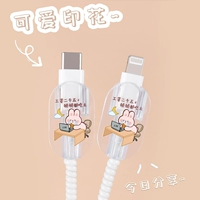 Прозрачный набор кабеля данных Apple+обертывание (работа Маленького кролика)