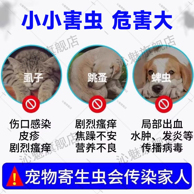 什么样的土狗虫适合野外采集？如何选择合适的品种?