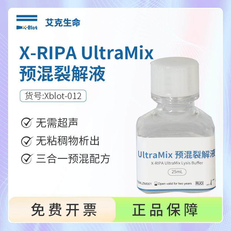 WB实验X-RIPA UltraMix预混裂解液 无需超声三合一试剂