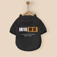 Черные деньги должны быть жесткими (плюс тонкая бархатная) гарантия