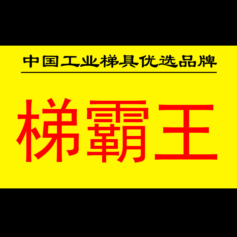 梯霸王厂家直营店
