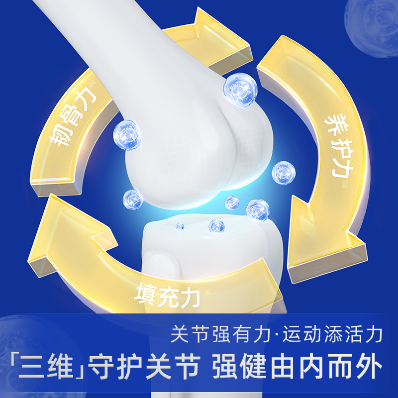 Vetwish Shark Cartilage for Dogs - Joint Protection, Bone Repair, Calcium Supplement for Pets, Dog Care