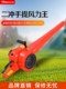 Xinghu Portable Gasoline Blower Greenhouse Snow Blower Leaf Blower Fire Fighting Wind Blower Dust Removal Machine