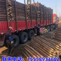 Piling pine wood piles river piling landscape gardening support poles river slope protection flood control leather log piles