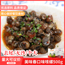 Delicious Spring Changsha Flavor Spicy Snails 500g 20 packs of snails hotel catering food stall ingredients semi-finished products