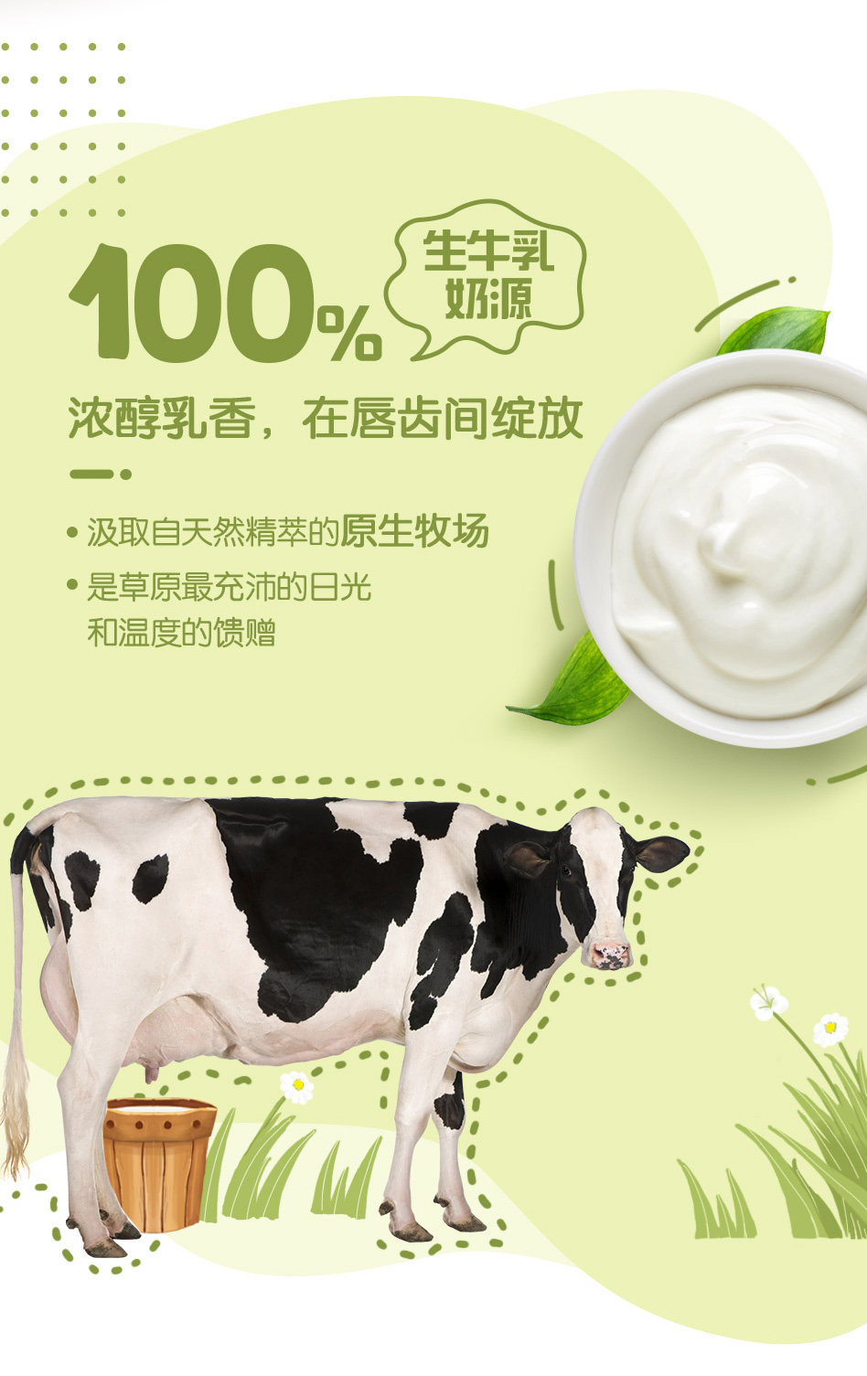 安享好物 安享B级酸奶-蒙牛阿慕乐酸奶 国标