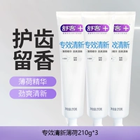 Professional Fresh, 210 г мяты*3 палочки