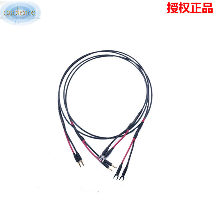 Audience Ottsy Au24 SE Speaker Line Audio Speaker Line Speaker Line Speaker Line