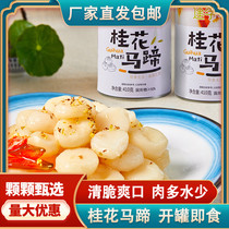 Canned osmanthus water chestnuts peeled water chestnuts casual snacks cold dishes ready-to-eat fruits and vegetables sugar water desserts hotel commercial use