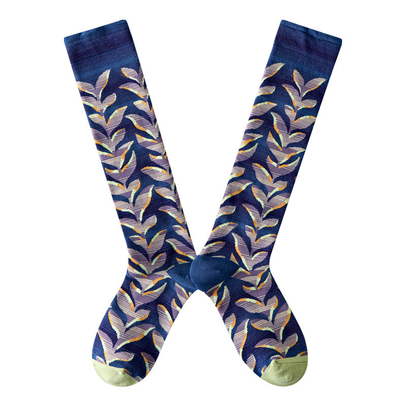 Носки medium and high tube calf and knee socks french ins style re Aishang