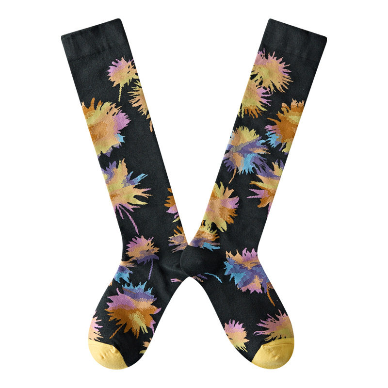 Носки medium and high tube calf and knee socks french ins style re Aishang