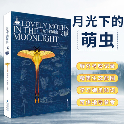 Подлинное пятно милые насекомые под лунным светом - Мот Xu Yaofeng Китайская энциклопедия дикие ручные иллюстрации насекомых Популяция детских внеклассных чтений мотыль
