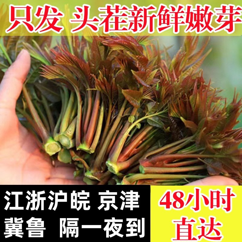 香椿新鲜头茬嫩芽红油春芽菜！当季椿芽现摘现发，春天的味道一口吃进嘴里！-香椿芽-淘宝好物网