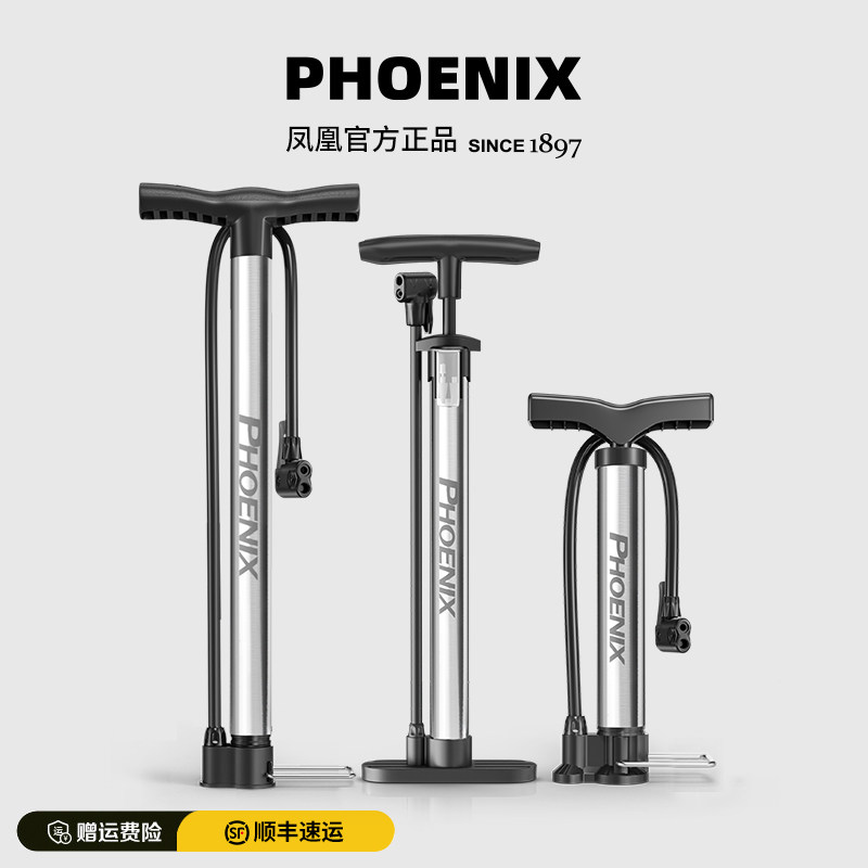 Phoenix pump bicycle home children's bicycle basketball electric vehicle battery car universal portable inflatable tube