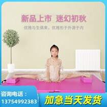 Practicing Martial Arts Mat Dance Mat Chinese Dance Home Folding Technique Children Basic Utiliti Aids Thickened Gymnastics Mat