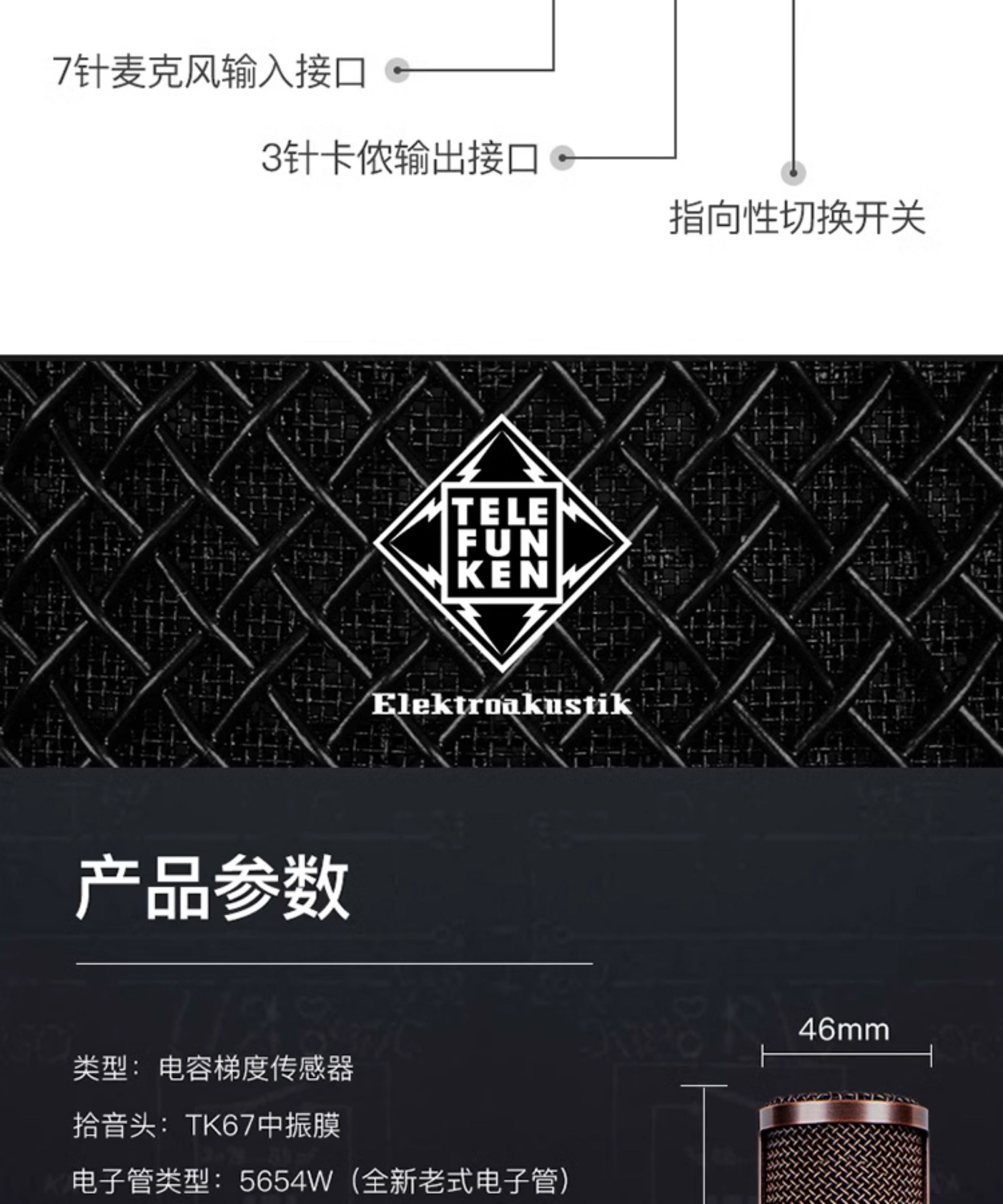 Telefunken/德律风根 TF39电容麦克风插图9