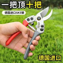 German imported steel thick branch shears labor-saving pruning scissors gardening grape pruning flowering trees fruit tree grafting garden shears tools