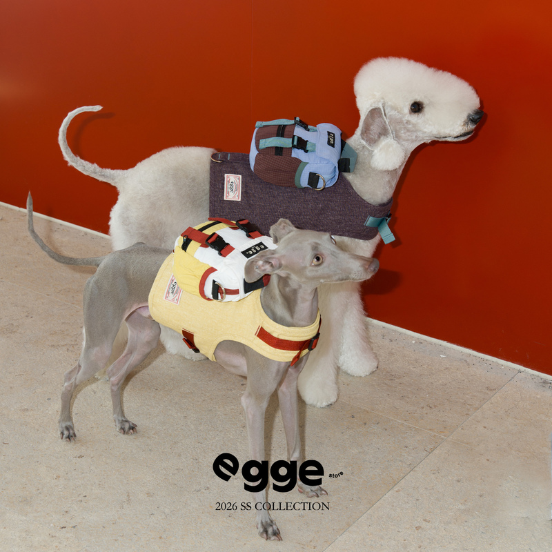 Egge Pet Dog Outing Backpack Retro Color-Blocking Backpack with Harness Series Egge Pet Dog Outing Backpack Retro Color-Blocking Backpack with Harness Series