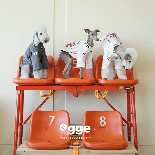 Egge Bellington, трикотаж в стиле ретро, весенне-летняя легкая одежда для собак, двуногие