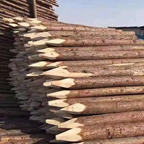 Pine wood pile piling wood outdoor river slope protection log solid wood pile greening fir support rod larch wood pile
