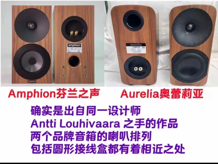 Pair of Aurelia Aurelia originally fitted with second frequency divider-Taobao