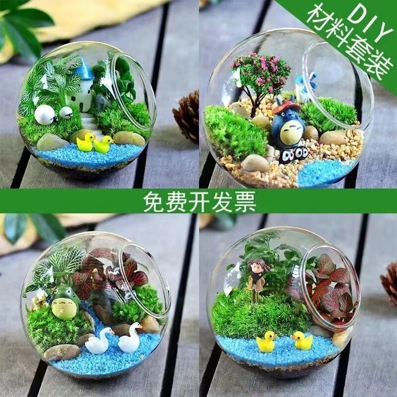 Moss Miniature Landscape DIY Material Kit Succulent Plant Bonsai Ecological Bottle Landscaping Salon Warm-Up Activity Handmade Moss Miniature Landscape DIY Material Kit Succulent Plant Bonsai Ecological Bottle Landscaping Salon Warm-Up Activity Handmade