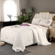Crystal Home Textiles Official Genuine Silk Quilt 100% Mulberry Silk Thickened Autumn and Winter Quilt Core Double Bed Warmth