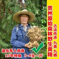 Wild Polygonatum japonica nine steamed and nine sun dried Chinese medicinal materials 500g soaked in wine Yunnan cooked chicken head Polygonatum odorifera tea paste not fresh